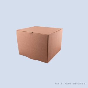 TheBox delivery Cuadrada L