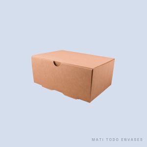 TheBox delivery 1500 A